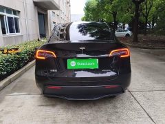 Tesla Model Y Rear-Wheel Drive - ფოტო 6