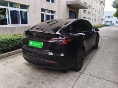 Tesla Model Y Rear-Wheel Drive - ფოტო 7