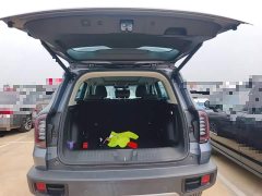 Great Wall Dachshund 2024 1.5T DCT Border Collie Edition - ფოტო 19
