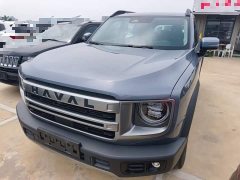 Great Wall Dachshund 2024 1.5T DCT Border Collie Edition - ფოტო 2