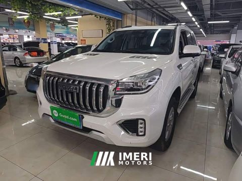 2022 Haval H9 2.0T Petrol 4WD Elite 5-Seat - ავტომობილი ჩინეთიდან