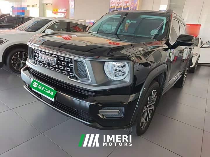 Haval Big Dog PLUS 2023 2.0T Two-Wheel Drive Trendy Wilderness Edition Plus - ავტომობილი ჩინეთიდან