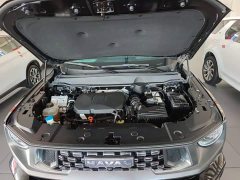 Haval Big Dog PLUS 2023 2.0T Two-Wheel Drive Trendy Wilderness Edition Plus - ფოტო 20