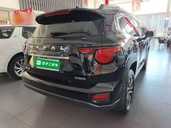 Haval Big Dog PLUS 2023 2.0T Two-Wheel Drive Trendy Wilderness Edition Plus - ფოტო 7