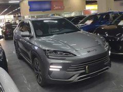 BYD Song Plus New Energy 2023 Champion Edition DM-i 110KM Flagship - ფოტო 4