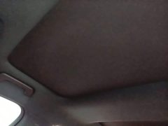 Li Auto L7 MAX - ფოტო 18