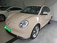 ORA Good Cat 401km Standard Range Deluxe LFP - ფოტო 1