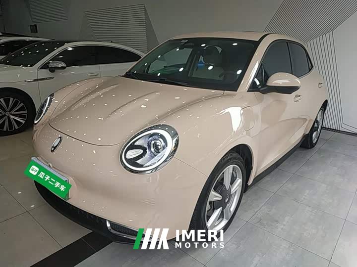ORA Good Cat 401km Standard Range Deluxe LFP