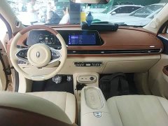 ORA Good Cat 401km Standard Range Deluxe LFP - ფოტო 10
