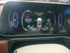 ORA Good Cat 401km Standard Range Deluxe LFP - ფოტო 12