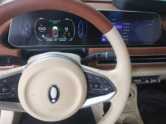 ORA Good Cat 401km Standard Range Deluxe LFP - ფოტო 14