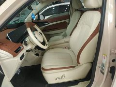 ORA Good Cat 401km Standard Range Deluxe LFP - ფოტო 15