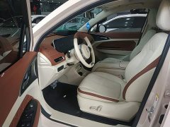 ORA Good Cat 401km Standard Range Deluxe LFP - ფოტო 16