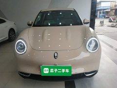 ORA Good Cat 401km Standard Range Deluxe LFP - ფოტო 3