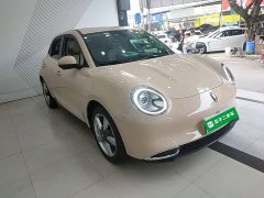 ORA Good Cat 401km Standard Range Deluxe LFP - ფოტო 4