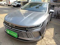 BYD Destroyer 05 Glory Edition DM-i 55KM Luxury - ფოტო 1