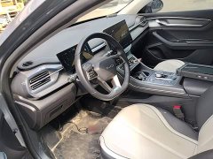 BYD Destroyer 05 Glory Edition DM-i 55KM Luxury - ფოტო 11