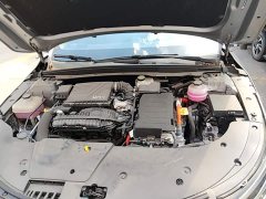 BYD Destroyer 05 Glory Edition DM-i 55KM Luxury - ფოტო 16