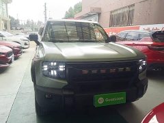 Jetour Jietu Liberator 2.0TD XWD Conquest - ფოტო 3