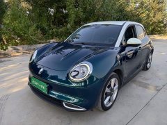 ORA Good Cat 400km Standard Range Venus Edition LFP Battery - ფოტო 1
