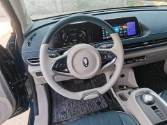 ORA Good Cat 400km Standard Range Venus Edition LFP Battery - ფოტო 11