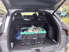BYD Song Plus New Energy EV Premier - ფოტო 10