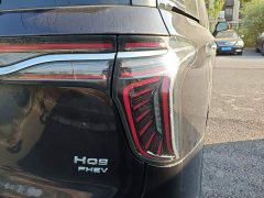 FAW Red Flag HQ9 PHEV 2.0T AWD Business Edition - ფოტო 8