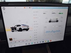 Nio Lerado L60 2024 60kWh Rear-Wheel Drive - ფოტო 12