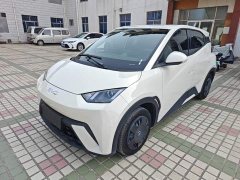 BYD Seagull Glory Edition 305km Vitality Version - ფოტო 1
