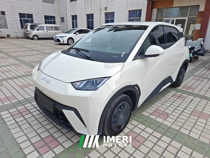 BYD Seagull Glory Edition 305km Vitality Version
