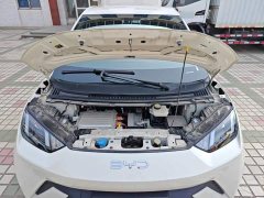 BYD Seagull Glory Edition 305km Vitality Version - ფოტო 20