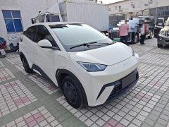 BYD Seagull Glory Edition 305km Vitality Version - ფოტო 4