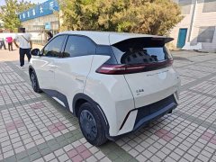 BYD Seagull Glory Edition 305km Vitality Version - ფოტო 5
