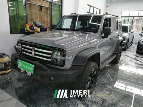 2021 Tank 300 Off-Road Edition 2.0T Conqueror - ავტომობილი ჩინეთიდან