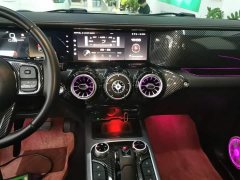 Tank 300 Off-Road Edition 2.0T Conqueror - ფოტო 13