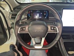 BYD Destroyer 05 Champion Edition DM-i 120KM Luxury - ფოტო 11