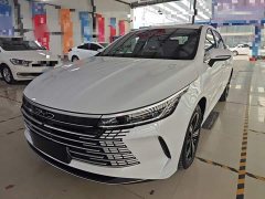 BYD Destroyer 05 Champion Edition DM-i 120KM Luxury - ფოტო 2