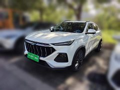 Changan Oushan X5 1.5T DCT Premier - ფოტო 1