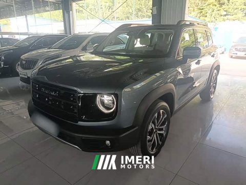 2025 Great Wall Dachshund 2026 1.5T DCT Border Collie Edition - ავტომობილი ჩინეთიდან