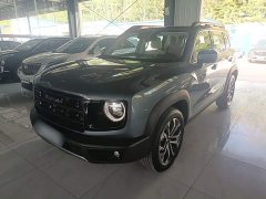 Great Wall Dachshund 2026 1.5T DCT Border Collie Edition - ფოტო 2