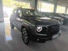 Great Wall Dachshund 2026 1.5T DCT Border Collie Edition - ფოტო 4