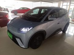 BYD Seagull Glory Edition 305km Vitality Version - ფოტო 2