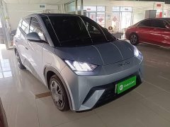 BYD Seagull Glory Edition 305km Vitality Version - ფოტო 4