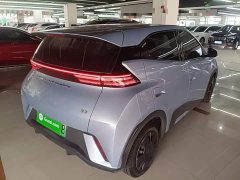 BYD Seagull Glory Edition 305km Vitality Version - ფოტო 7