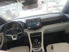 BYD Song Plus New Energy EV Premium - ფოტო 10