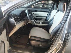 BYD Song Plus New Energy EV Premium - ფოტო 15