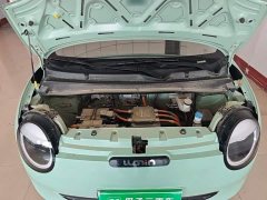 Changan Lumin 210km Fragrant Edition - ფოტო 20