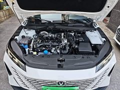 Changan Eado Blue Whale 1.5T 500Bar Luxury - ფოტო 20