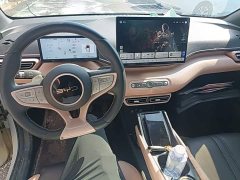 BYD Seagull 2025 Smart Driving Edition 305km Freedom Edition - ფოტო 10