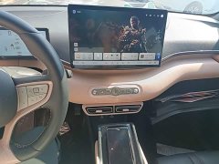 BYD Seagull 2025 Smart Driving Edition 305km Freedom Edition - ფოტო 13